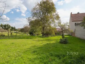 Prodej pozemku pro bydlení, Těmice, 40 m2