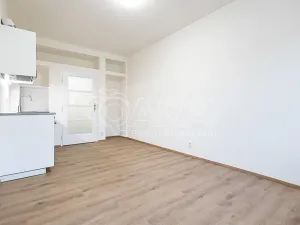 Pronájem bytu 1+kk, Praha - Nusle, V Horkách, 22 m2