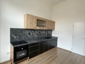 Pronájem bytu 1+1, České Budějovice - České Budějovice 6, Žižkova tř., 49 m2