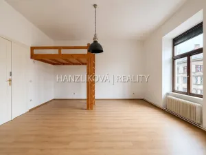 Pronájem bytu 1+1, České Budějovice - České Budějovice 6, Žižkova tř., 49 m2