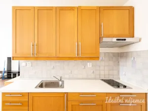 Pronájem bytu 1+kk, Praha - Střížkov, Roudnická, 33 m2