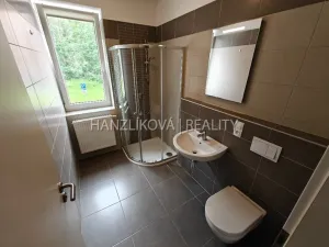 Pronájem bytu 1+kk, České Budějovice - České Budějovice 2, U Lesa, 26 m2