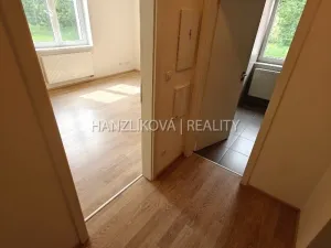 Pronájem bytu 1+kk, České Budějovice - České Budějovice 2, U Lesa, 26 m2