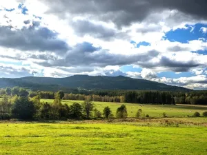 Prodej rodinného domu, Horní Planá, 124 m2