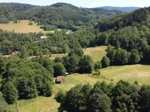 Prodej pozemku pro bydlení, Olešnice v Orlických horách, 3118 m2