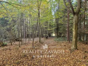 Prodej lesa, Prostřední Bečva, 25462 m2