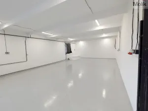 Pronájem skladu, Ledvice, Mírová, 198 m2