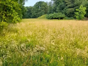 Pronájem pole, Kopřivnice, 510 m2