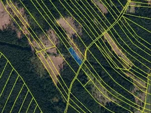 Prodej lesa, Častrov, 1295 m2