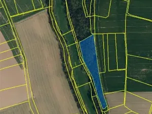 Prodej lesa, Hořepník, 9539 m2