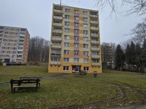 Pronájem bytu 1+1, Litvínov - Horní Litvínov, Tylova, 37 m2