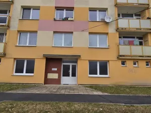 Pronájem bytu 1+1, Litvínov - Horní Litvínov, Tylova, 37 m2