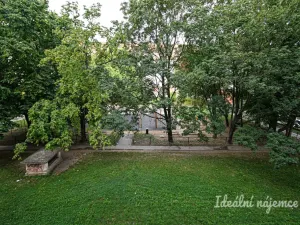 Pronájem bytu 2+1, Brno - Ponava, Botanická, 54 m2