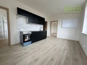 Pronájem bytu 1+1, Karlovy Vary, Moskevská, 49 m2