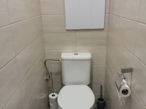 Pronájem bytu 2+1, Plzeň, Koterovská, 56 m2