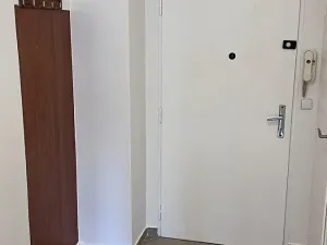 Pronájem bytu 1+kk, Praha - Nusle, Na Pankráci, 33 m2