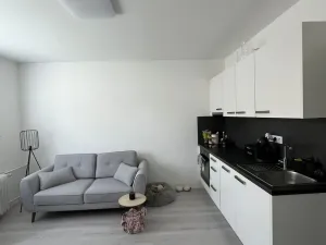 Pronájem bytu 1+1, Františkovy Lázně, Anglická, 37 m2