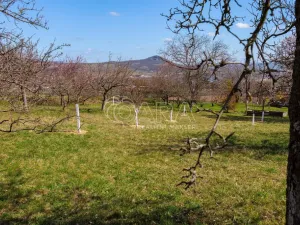 Prodej zahrady, Lhotka nad Labem, 1403 m2