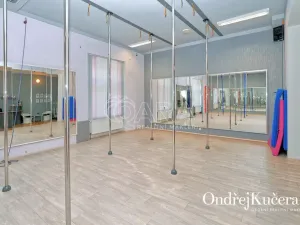 Prodej činžovního domu, Kladno, Osvoboz. pol. vězňů, 1000 m2