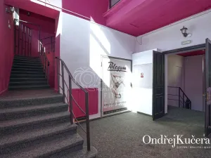 Prodej činžovního domu, Kladno, Osvoboz. pol. vězňů, 1000 m2