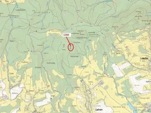 Dražba lesa, Lačnov, 3805 m2