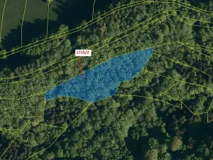 Dražba lesa, Valašská Polanka, 2632 m2