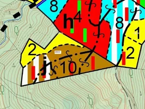 Dražba lesa, Lačnov, 7364 m2