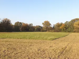 Dražba louky, Petrovice u Karviné, 6981 m2