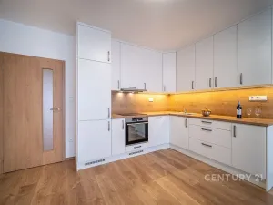 Pronájem bytu 3+kk, České Budějovice - České Budějovice 5, Františka Jelena, 65 m2