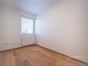 Pronájem bytu 3+kk, České Budějovice - České Budějovice 5, Františka Jelena, 65 m2