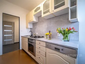 Pronájem bytu 3+1, České Budějovice - České Budějovice 5, Karla Tomana, 68 m2