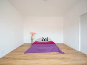 Pronájem bytu 1+1, Brno, Královopolská, 29 m2