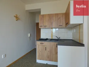 Pronájem bytu 1+kk, Opava, Haškova, 18 m2