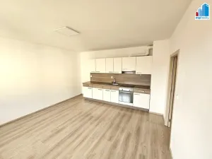 Pronájem bytu 1+kk, Plzeň - Jižní Předměstí, Rybářská, 39 m2