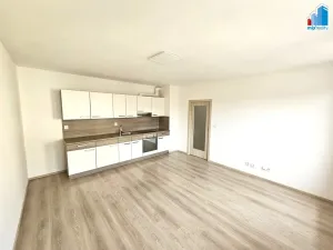 Pronájem bytu 1+kk, Plzeň - Jižní Předměstí, Rybářská, 39 m2
