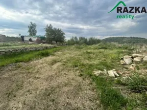 Prodej komerčního pozemku, Lestkov - Domaslav, 4866 m2