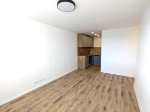 Pronájem bytu 2+kk, Most, Bělehradská, 40 m2