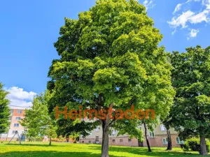 Pronájem bytu 1+kk, Havířov - Město, Jožky Jabůrkové, 21 m2