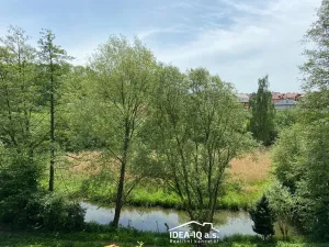 Prodej zahrady, Pelhřimov, Tomáše ze Štítného, 886 m2