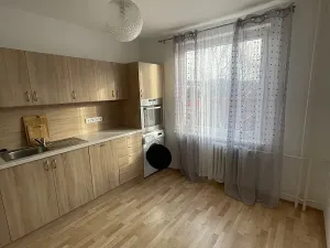 Pronájem bytu 1+1, Nový Jičín, Riegrova, 29 m2