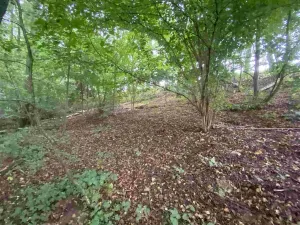 Prodej pozemku, Helvíkovice, 1994 m2