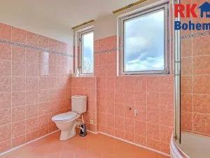 Pronájem bytu 2+1, Český Brod, Palackého, 54 m2