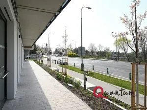 Pronájem bytu 2+kk, Praha - Kamýk, Hodkovická, 55 m2