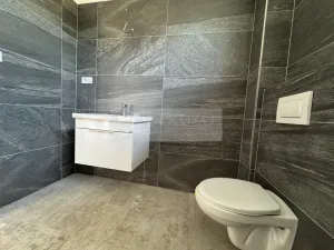 Pronájem rodinného domu, Mladá Boleslav - Debř, Láskov, 165 m2