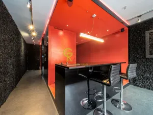 Prodej bytu 1+kk, Praha - Záběhlice, Podle náhonu, 42 m2