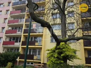 Pronájem bytu 1+1, Opava, 17. listopadu, 38 m2