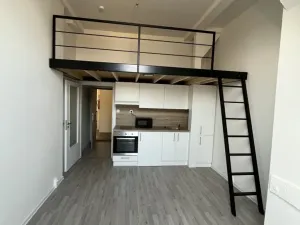 Prodej bytu 1+kk, Ostrava - Přívoz, Palackého, 26 m2