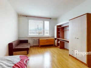 Prodej bytu 2+1, Ústí nad Labem - Krásné Březno, Družstevní, 63 m2