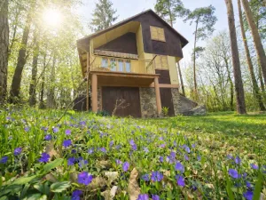 Prodej chaty, Oslnovice, 70 m2