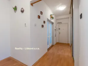 Prodej bytu 2+1, Ústí nad Labem - Střekov, Třebízského, 59 m2